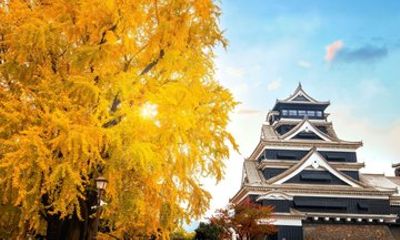 Fukuoka Day Trip to Kumamoto Castle and Suizenji Garden