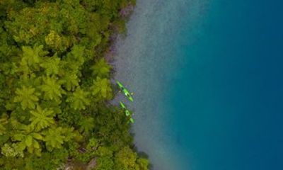 Marlborough Guided Kayaking and Afternoon Vineyard Experience