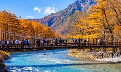 Private Transfer from Nagoya to Kamikochi and Matsumoto
