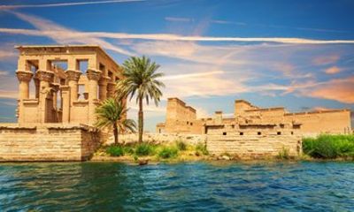 Nile Birdwatching Experience Private Shore Tour from Aswan Port