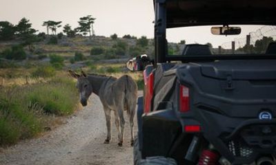 4-Seater Buggy — Self-Guided Adventure in Hvar