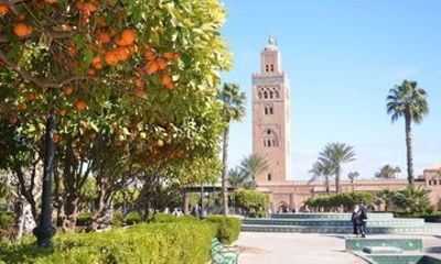 Marrakech Day Trip from Casablanca with Camel Experience