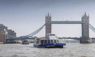 Thames River Sightseeing Cruise in London