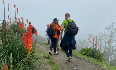 Cocora Valley : 10 km Nature and Forest Hike