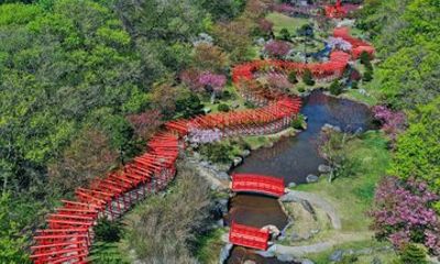 Aomori Private Tour Takayama Inari and Tsuru no Maihashi