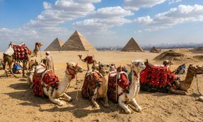 ExploreCairo Treasures and Grand Museum with Egyptian Lunch