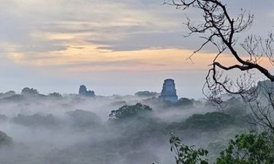 Sunset in Tikal from Flowers : Mayan Ruins and Wildlife