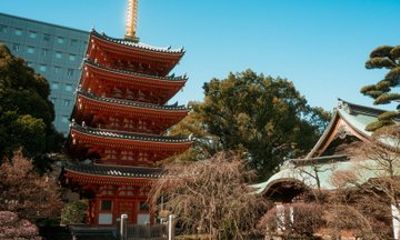 Fukuoka Hakata Old Town Cultural and Food Walking Tour