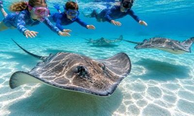 Family Focused Private Boat Charter Stingrays Starfish and More