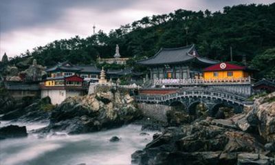 Full Day Private Busan Tour For Travelers and Cruise Passengers