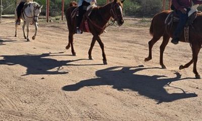 La Paz Private Domesticated Animals Adventure