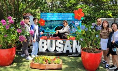 Busan Highlights Day Tour from Seoul by KTX with Capsule Ride