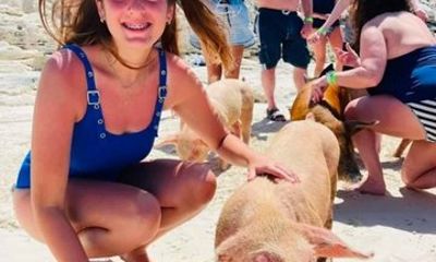 Nassau 1 Hour Swimming Pigs Splash Tour and Private Beach Club