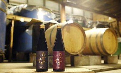 Takarayama Brewery Experience with Sake Tasting
