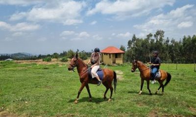 Horse Ride and Wild Hyenas Adventure in the Addis Highlands