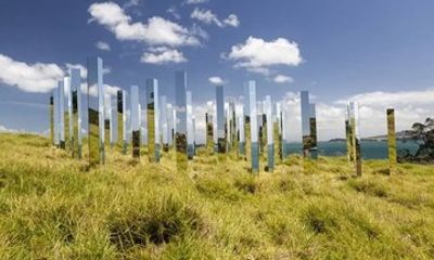 Waiheke Island Wine and Art Private Tour