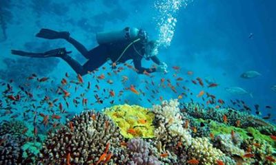 Blue Lagoon Snorkeling & East Bali Sightseeing Tour