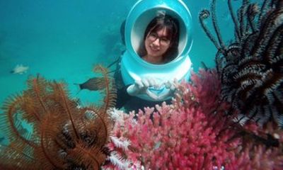 Nha Trang Island Tour with Sea Walking and Seafood Lunch