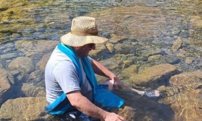 Waterfall wellness : Breathwork and forest bathing in Köycegiz