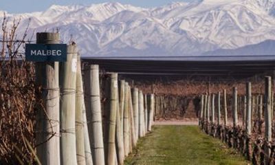 6 Days Mendoza Private Guided Tour