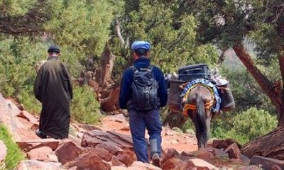 Atlas Mountains Day Hike Imlil Valley Villages and Waterfalls