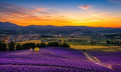 Furano Biei Blue Pond and Sunset Nature Tour from Sapporo