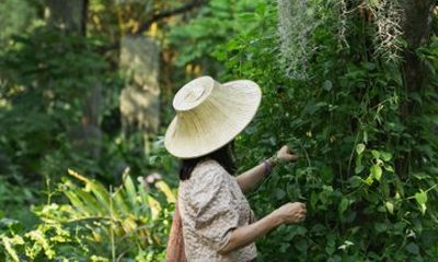Thai Culture and Nature Escape