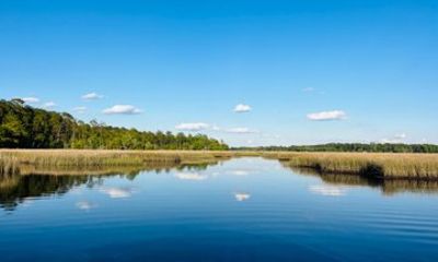 Private Morning Wildlife Boat Cruise In Remote Tidal Salt Marsh