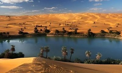 Private Full-Day Tour from Cairo to Fayoum Oasis with Lunch