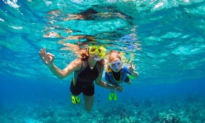 Key Largo Molasses Reef Snorkeling Adventure