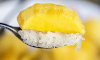 São Paulo: Liberdade Food Tour with 6 Tastings and Tonkatsu