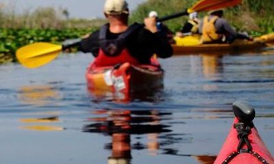 Tandem Kayak Rental at Flamingo Everglades