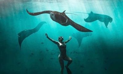 Nusa Penida Snorkeling & Private Land Tour (All Inclusive)