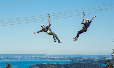 Waiheke Island Private Tour Zipline Adventure and Vineyard Visits