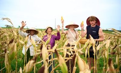Authentic Hoi An Countryside Tour Basket Boat with Local Family