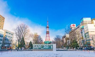Downtown Sapporo Private Transfer to or from Niseko