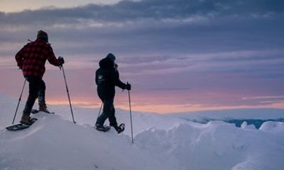 Rovaniemi Finland Tour with Transportation