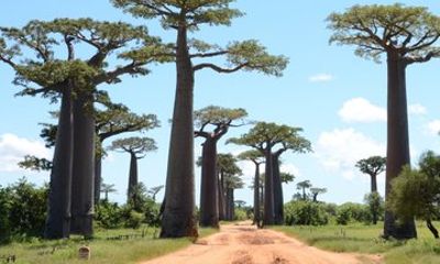 Western Wonders and Eastern Indian Sanctuaries