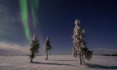 Northern Lights Hunt Transfer from Rovaniemi to Levi