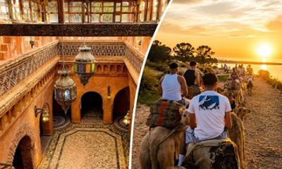 Agadir Camel Riding Tour with Coco Polizzi Medina Ticket