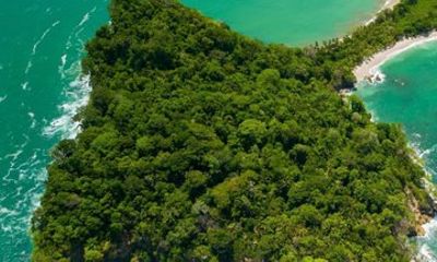 Private Manuel Antonio Park Full day Tour
