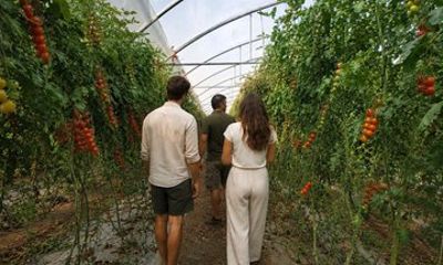 Tour to Pachino and Marzamemi with two Local Producers from Catania