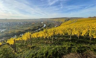 Autumn wine hike to the terroir f in Volkach
