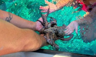 Trogir/Split: Private Blue Lagoon & Snorkelling Adventure