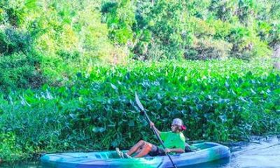 Single Kayak Rental at Wekiwa Springs