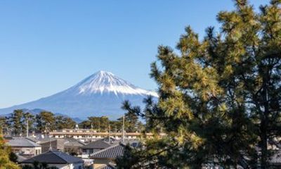 Miho no Matsubara and Port Classic Express Private Tour