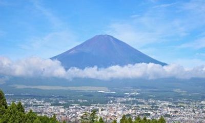Shizuoka Heritage and Castle Ruins Private Tour