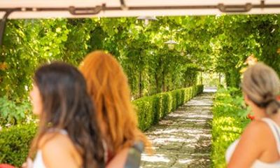 Private Pompeii Tour with Winery Lunch Guide and Tickets