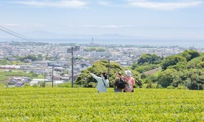 Meet the Artisan A Private Tour of Regenerative Green Tea Fields