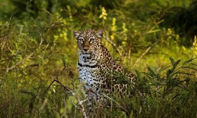 3 Day Akagera National Park Adventure with Lake Muhazi Stay